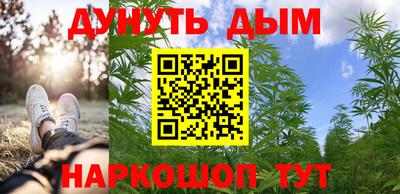 шишки Берёзовский