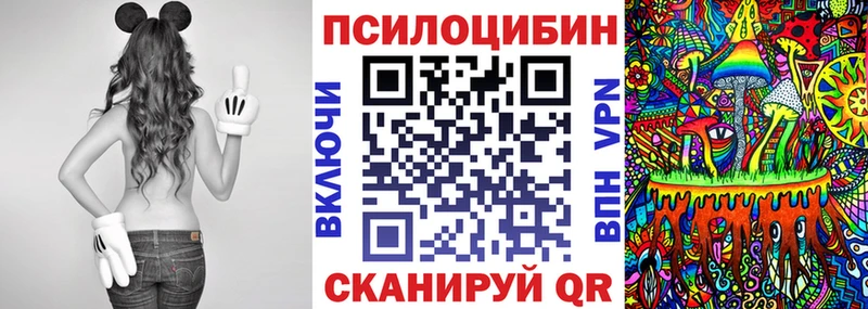 дарнет шоп Шатура Галлюциногенные грибы прущие грибы