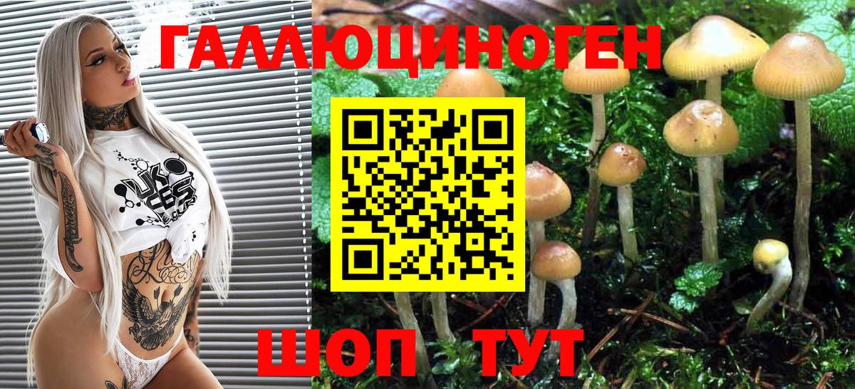 Галлюциногенные грибы MAGIC MUSHROOMS Шатура