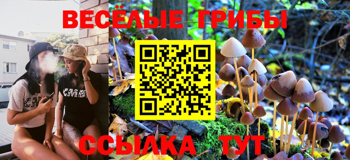 Шатура  Псилоцибиновые грибы Psilocybine cubensis  купить  цена  Вход с VPN 
