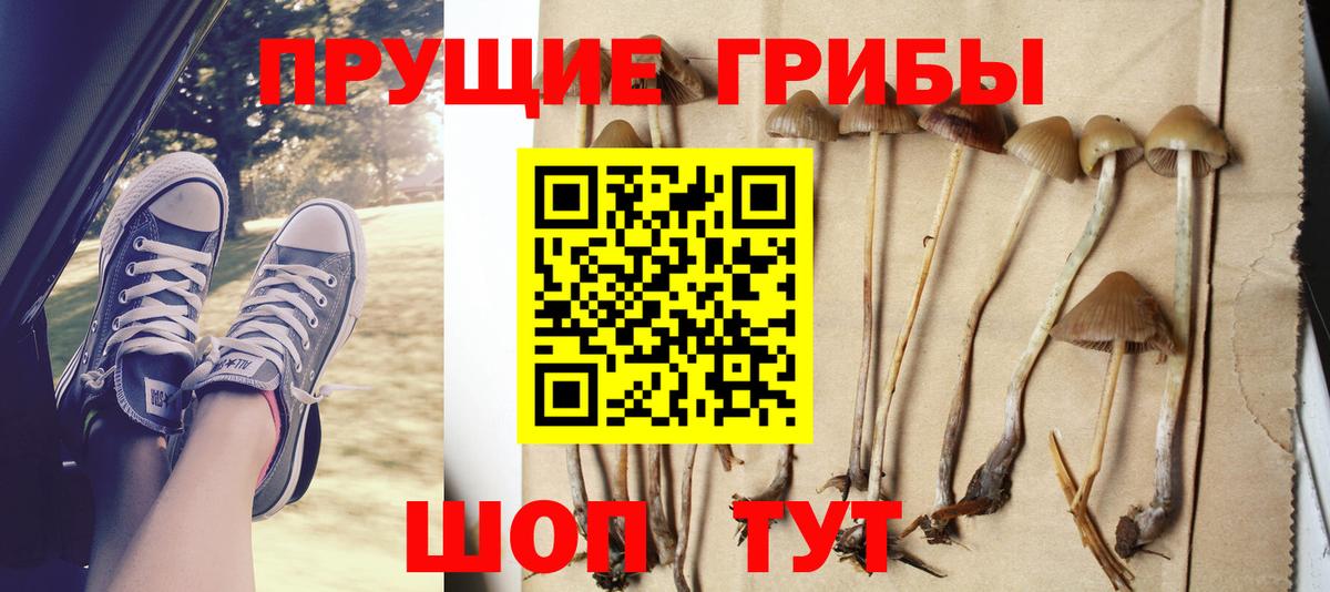 Галлюциногенные грибы Psilocybine cubensis  Псилоцибиновые грибы мухоморы  наркошоп  Шатура 