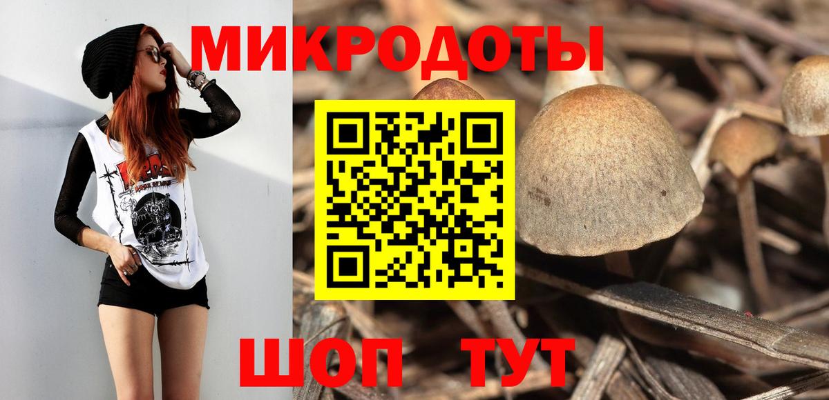 Галлюциногенные грибы Psilocybe Шатура